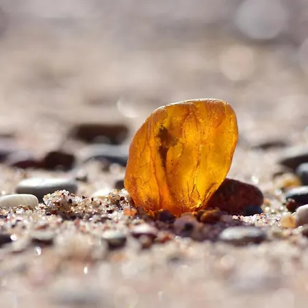 Ostseeblick-neu 2024-kueche-parkplatz-kamin-balkon בולטנהאגן