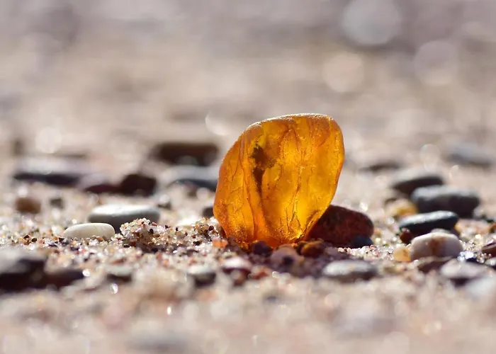 Ostseeblick-neu 2024-kueche-parkplatz-kamin-balkon Boltenhagen (Ostseebad)